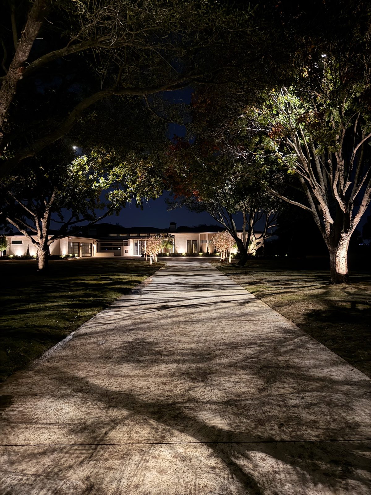 Long residential driveway at night lined with uplit mature trees leading to a lit modern home