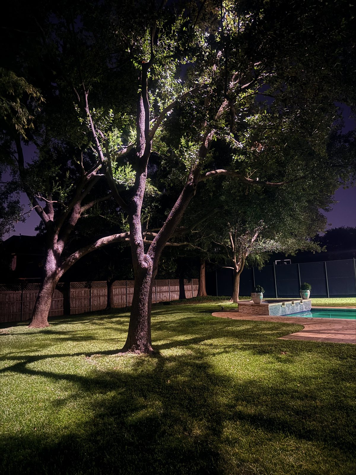 Back garden at night with large uplit trees, a lawn and a lit pool area beyond